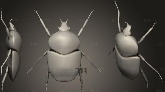 Goliath Beetle stl model for CNC